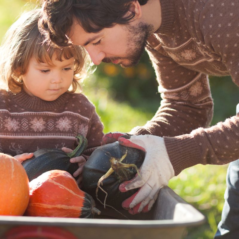 Fun Fall Outdoor Projects for Kids