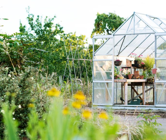 DIY Greenhouse for Every Skill Level