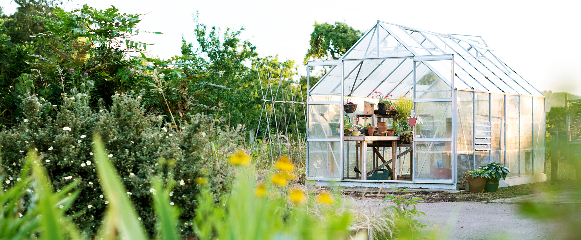 DIY Greenhouse for Every Skill Level