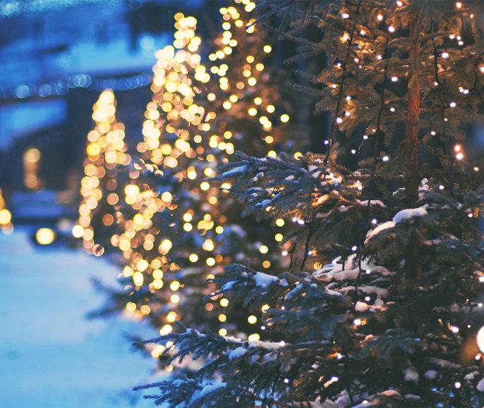 A Guide to Outdoor Christmas Lights