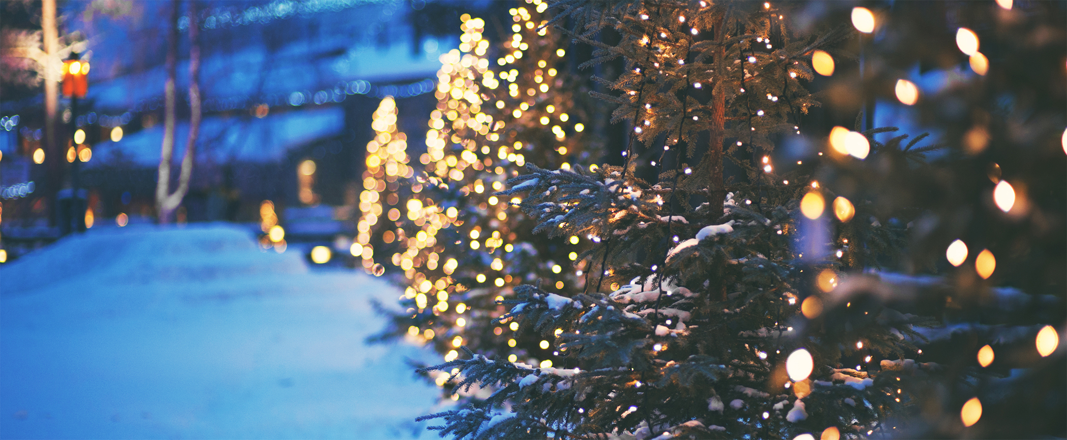 A Guide to Outdoor Christmas Lights