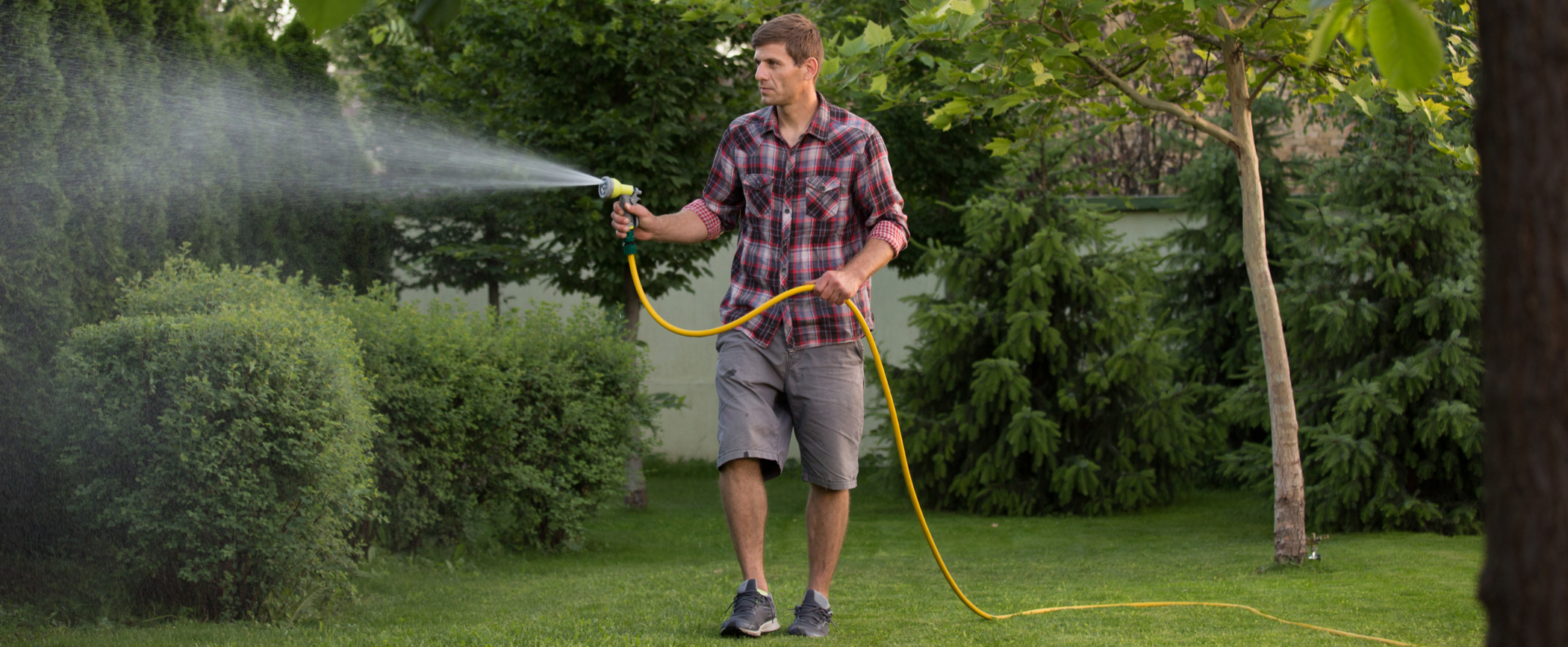 How to Conserve Water in Your Garden or Lawn